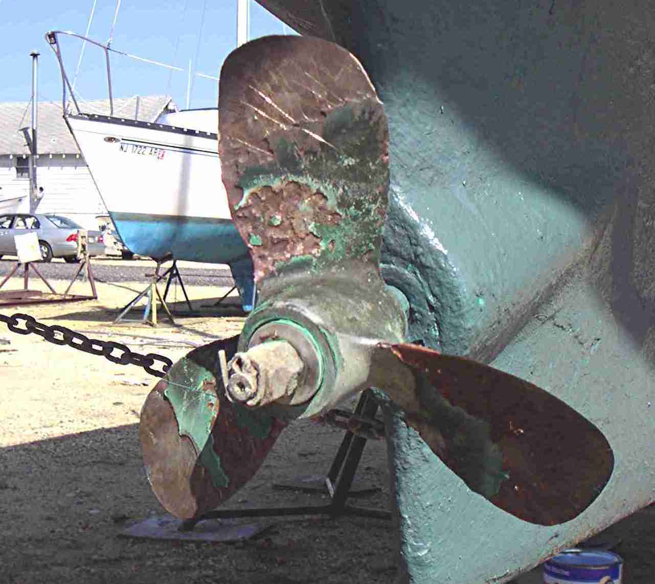 Close up of blade, just 5 months