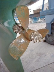 Note Barnacles on shaft and nuts